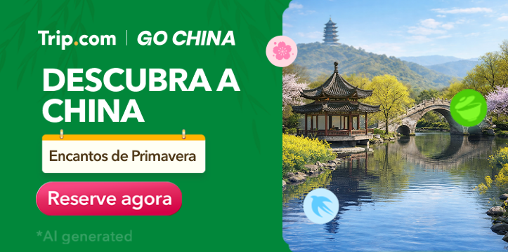Descubra a china