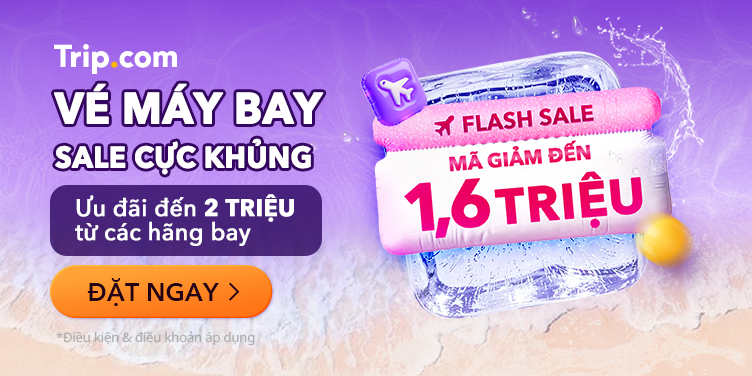 7.7 Mega sale flight