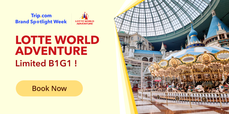 BSW x Lotte World