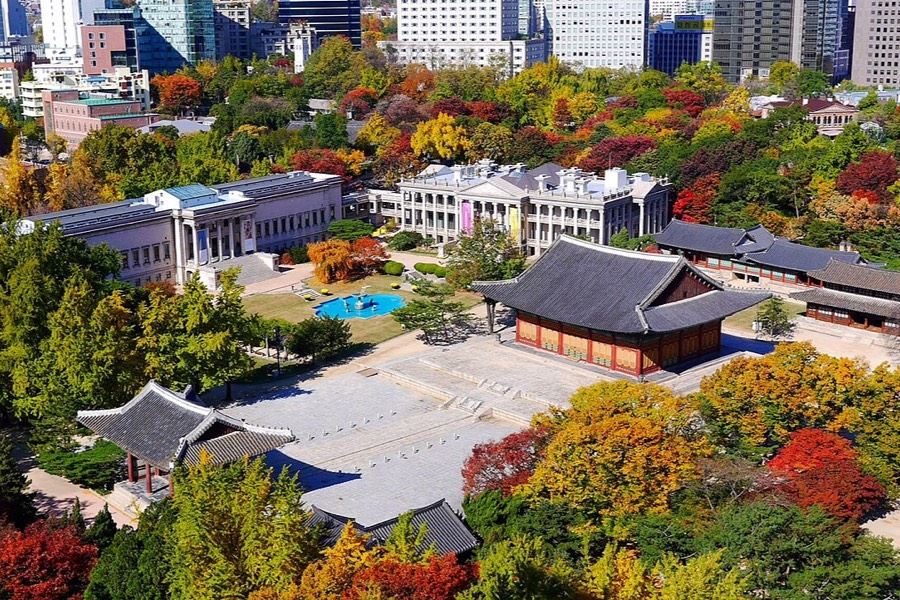 首爾德壽宮秋季銀杏