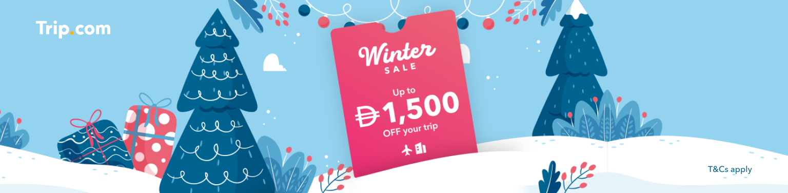 AE Winter Sale