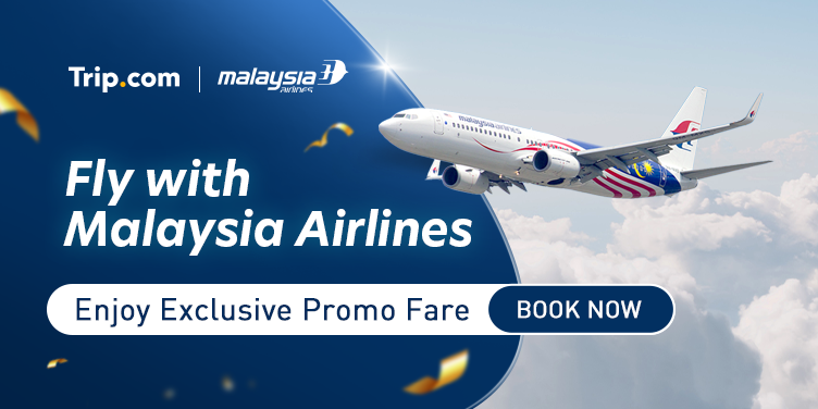 Terbang dengan Malaysia Airlines