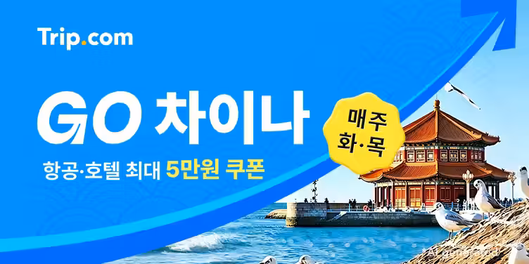 GO 차이나