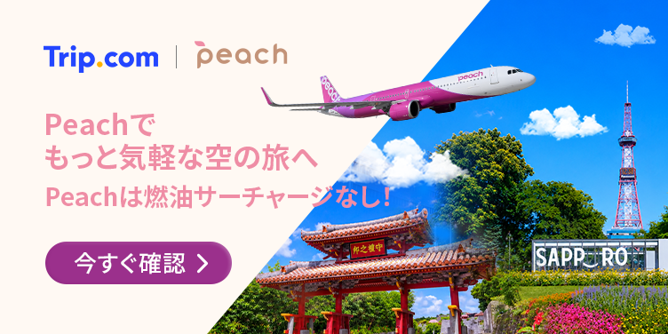 Peachでもっと気軽な空の旅へ