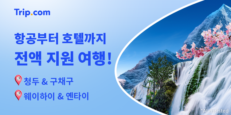 Flip it, 차이나는 TRIPS
