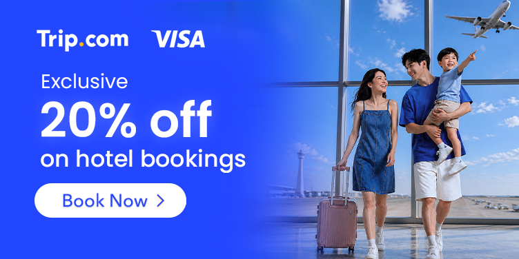 Visa Offer