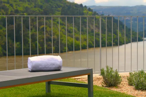 Douro Royal Valley Hotel & Spa Chambres Photos