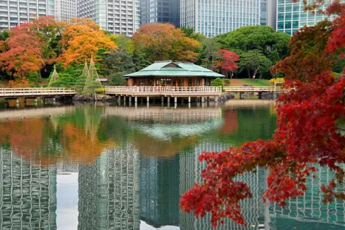 The Royal Park Hotel Iconic Tokyo Shiodome Near Hotel Photos