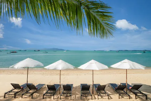 NH Collection Samui Peace Resort À proximité de l'hôtel Photos