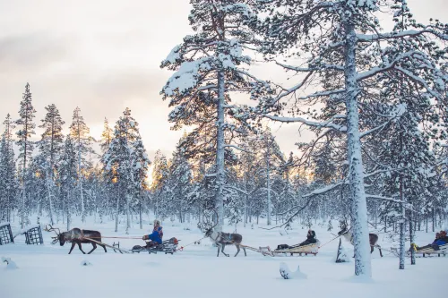 Kakslauttanen Arctic Resort - Igloos and Chalets Loisirs et amusements Photos