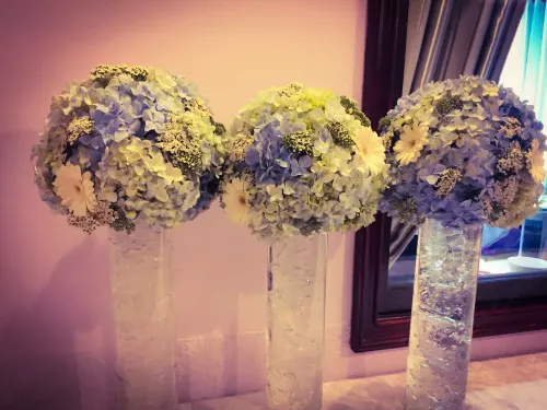 TTC Hotel Đà Lạt Thư giãn & Giải trí Photos