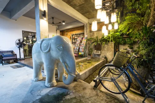 Now Chiang Mai Empfohlen Photos
