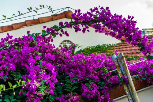 Guesthouse International Hotel Sanya Общественные зоны Photos