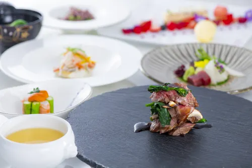 Shiragiku Featured Photos