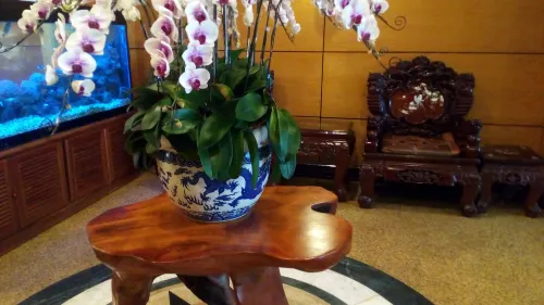Khách sạn Bon Ami (Khách sạn Thiên Xuân) Photos