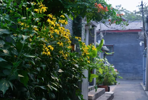 My Beiping Garden Greenhouse Courtyard Hotel (Xidan Financial Street Branch) Außen Photos