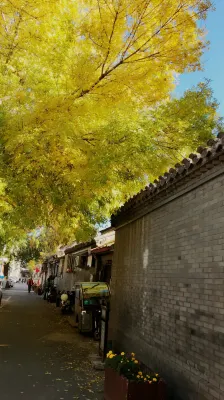 Peking Youth Hostel Dekat Hotel Photos