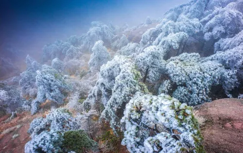 Huangshan Peak Boutique Hotel À proximité de l'hôtel Photos