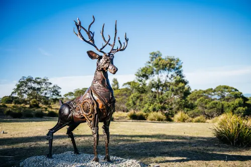 Freycinet Resort Photos