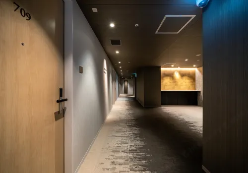 Daiwa Roynet Hotel Tokyo Kyobashi Premier الأماكن العامة Photos