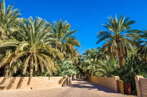 فندق أيلا جراند العين من الخارج Photos