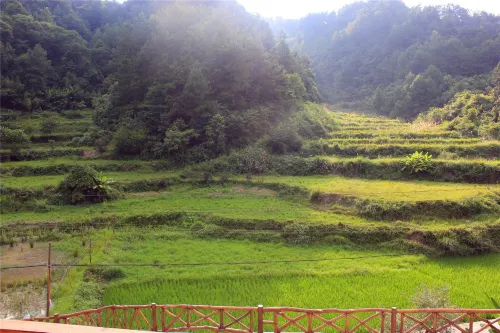 Zhangjiajie Latitude 30 Degree North Farm Stay Featured Photos