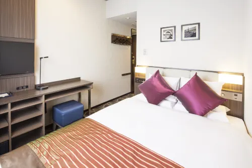 HOTEL MYSTAYS Ueno East Kamar Photos