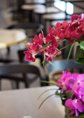 The Z Hotel Tottenham Court Road Photos