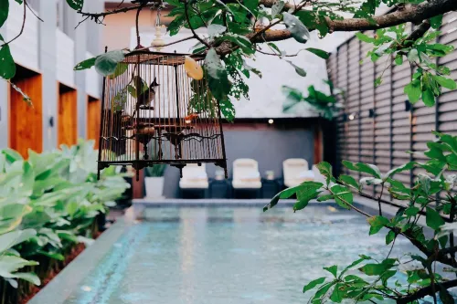 Hotel Loy Chiang Mai - Adult Only Thư giãn & Giải trí Photos