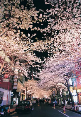 Daiwa Roynet Hotel Tokyo Kyobashi Premier بالقرب من الفندق Photos