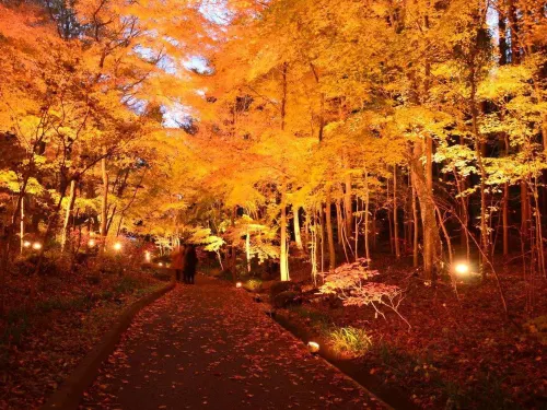 Mars GardenWood Gotemba In der Nähe des Hotels Photos
