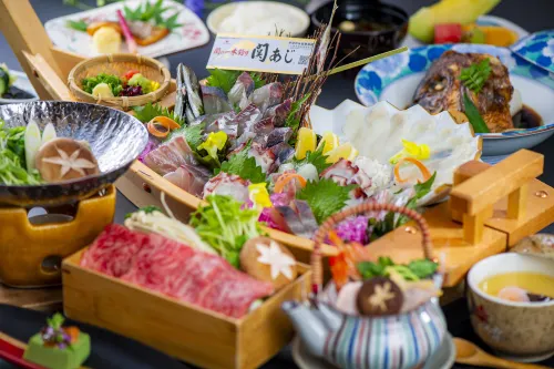 Shiragiku Photos
