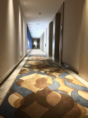 凱里亞德飯店（郴州五嶺廣場市政府店） 商務設施 Photos