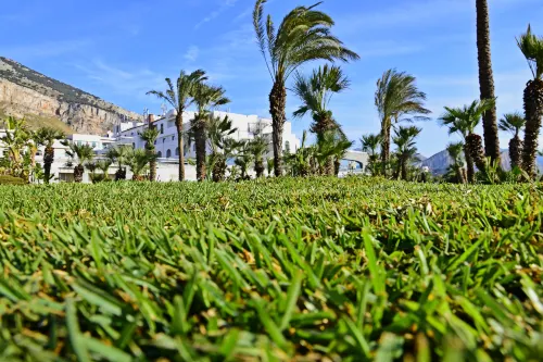 Saracen Sands Hotel & Congress Centre - Palermo Extérieur Photos