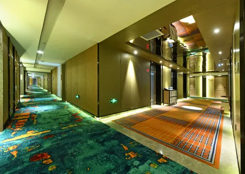 Mehood Hotel (Xining Haihu New District) Public Areas Photos