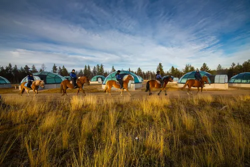 Kakslauttanen Arctic Resort - Igloos and Chalets Loisirs et amusements Photos