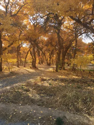 YuanMeng Photos