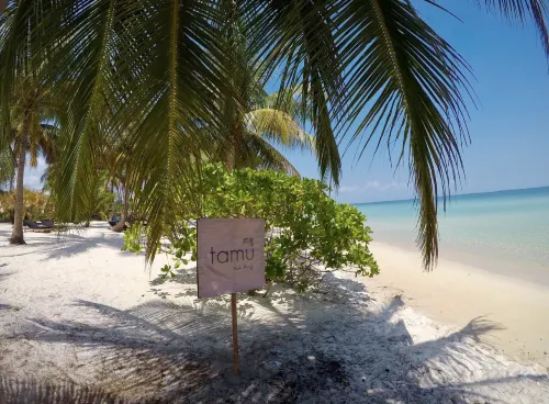 Tamu Koh Rong À proximité de l'hôtel Photos