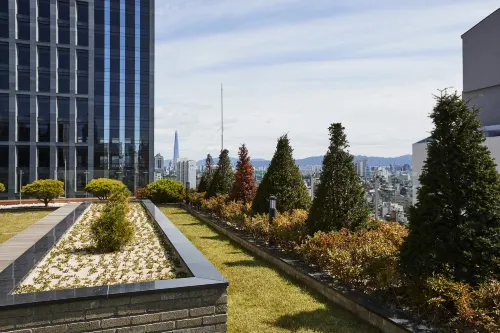 호텔 뉴브 호텔 주변 Photos