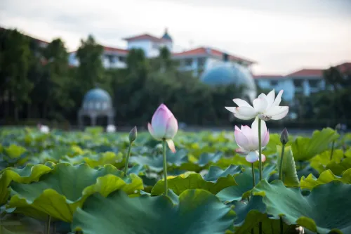 Country Garden Guangzhou Fengyue Phoenix City Hotel Extérieur Photos