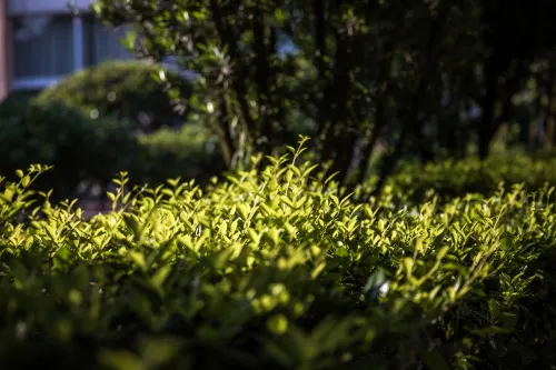 Tianyou Manor Photos