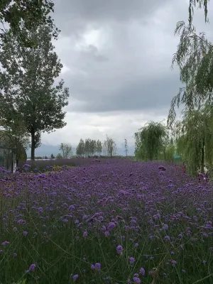 Vienna Hotel (Lijiang Old Town) Photos