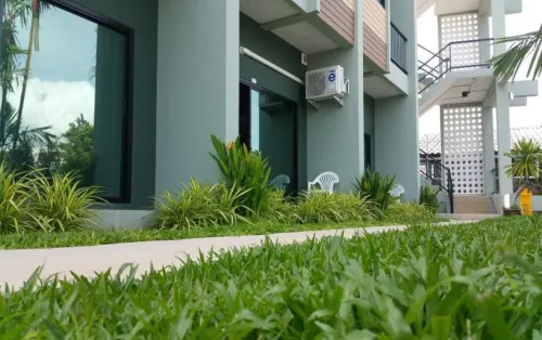 Phuket Airport Place Aree comuni Photos