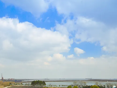 上海東方酒樓（浦東国際空港） Photos