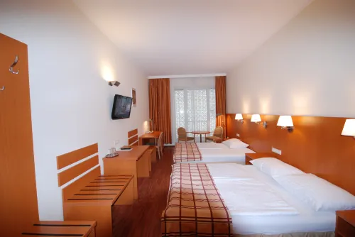 Continental Hotel-Pension Da non perdere Photos