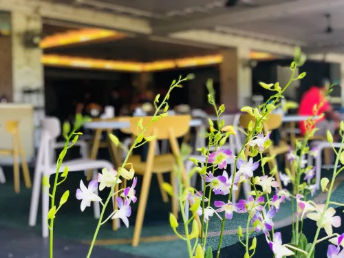 오키드 컨트리 클럽 식사 Photos