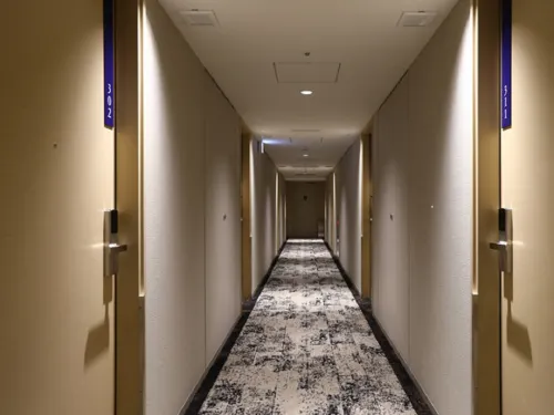 Hotel Gracery Asakusa Aree comuni Photos