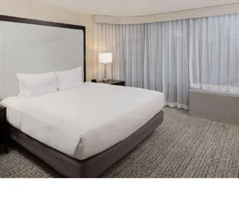 DoubleTree by Hilton Chicago Magnificent Mile Chambres Photos