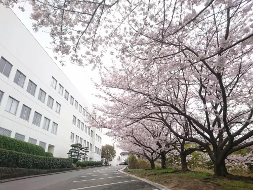 Kurashiki Seaside Hotel Featured Photos