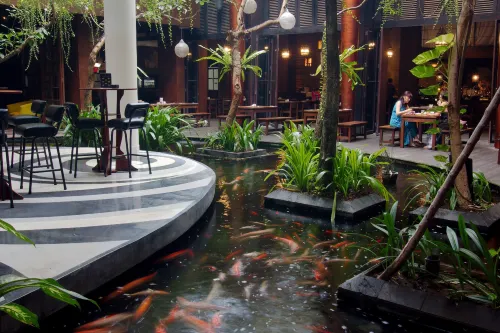 Swiss-Belhotel Rainforest Makanan Photos
